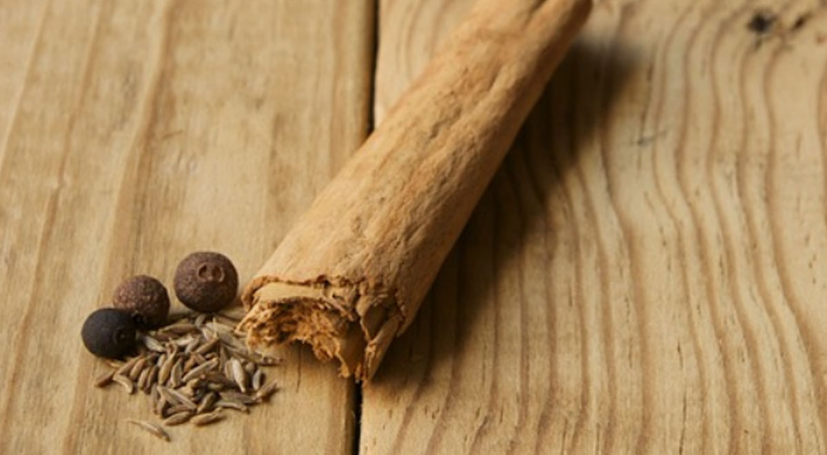 cinnamon plant harvest