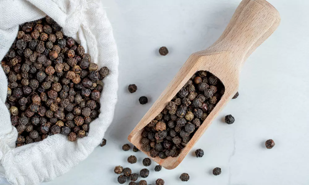 How are black peppercorns harvested, processed and produced?