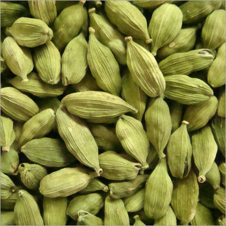 cardamom cardamon kapulaga hijau arab elaichi