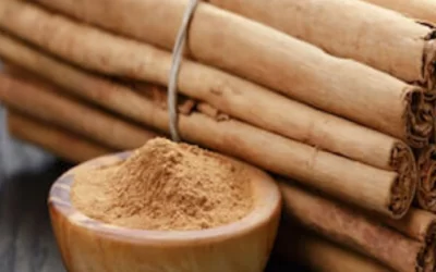 Why is Ceylon Cinnamon considered “True” Cinnamon?