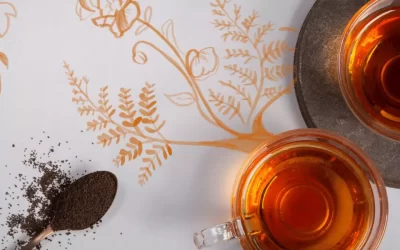 Origin & Types of Tea in India