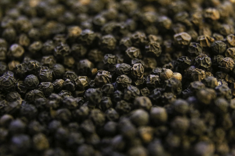 Production of BlackPepper Harvesting of Pepper Thottam Farm Fresh