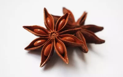 What are the Health Benefits of Star Anise?