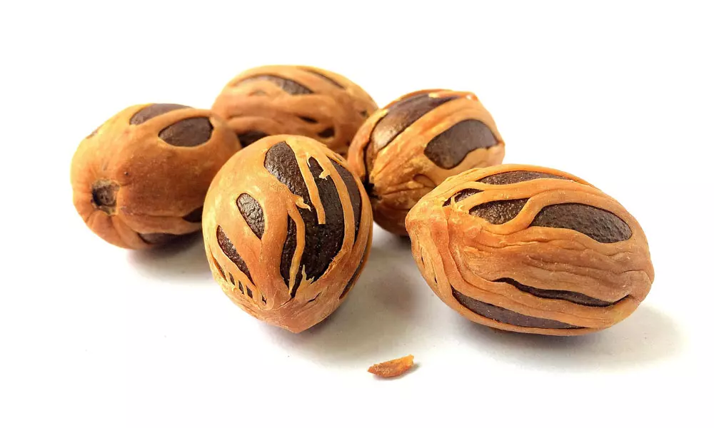 5 Interesting Things you Didn’t Know About Nutmeg