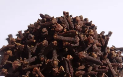 How Are Cloves Grown?