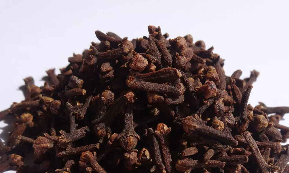 How Are Cloves Grown?