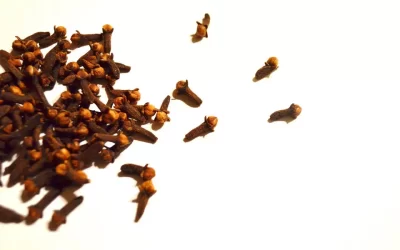 What are Cloves & How is it Used?