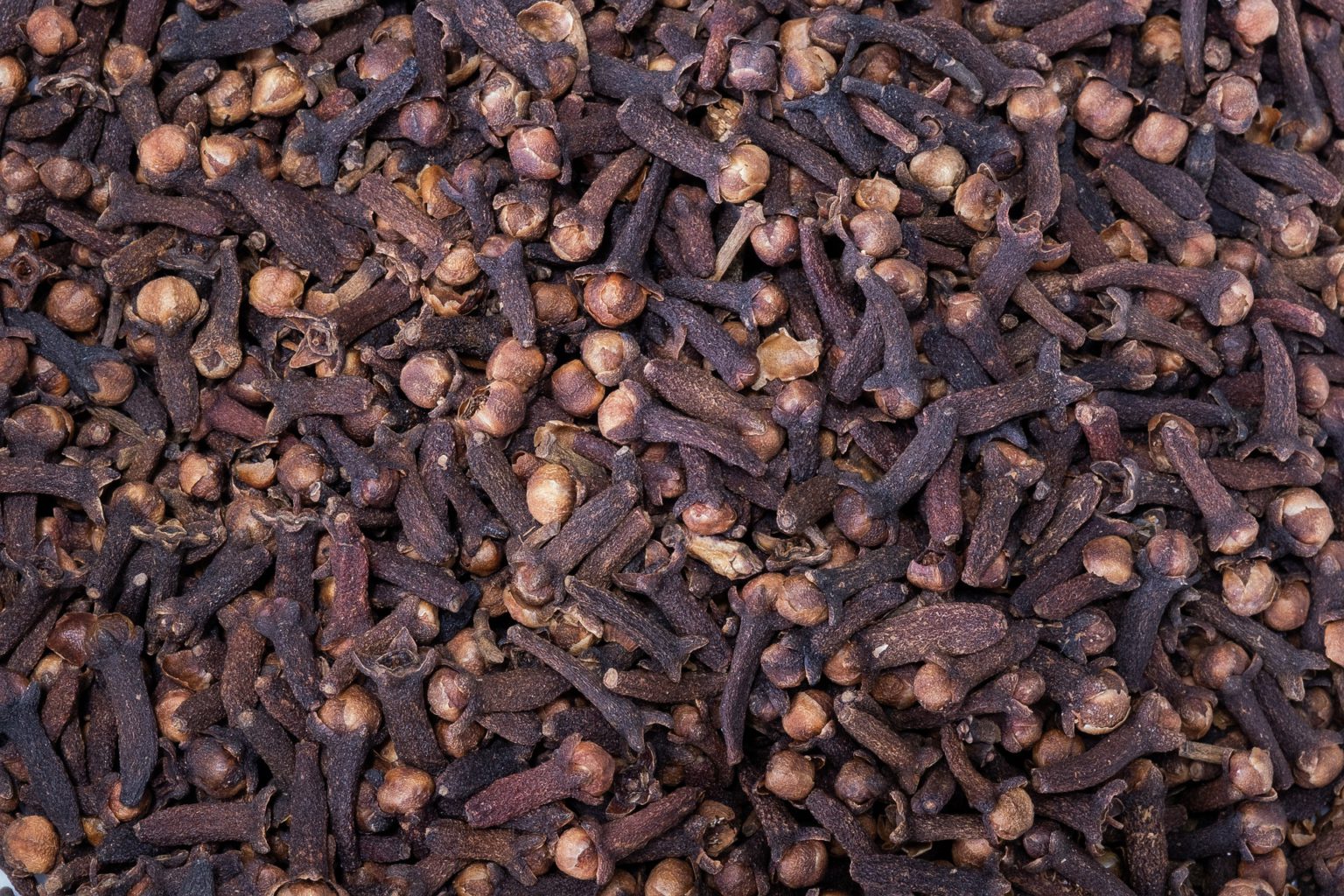 How Are Cloves Grown? Buy Cloves Online Thottam Farm Fresh