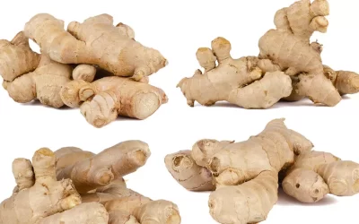 5 Interesting Things you didn’t Know about Dried Ginger