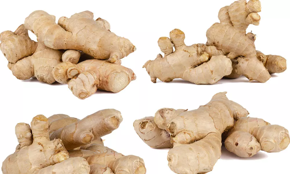 Buy Dried Ginger Online