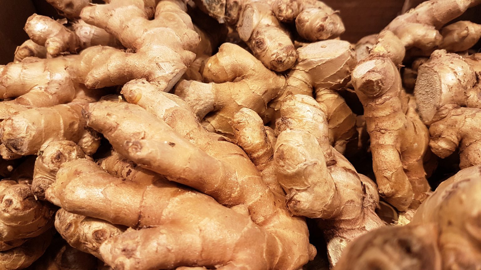 How Is Dried Ginger Grown And Processed Thottam Farm Fresh 3514