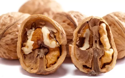 What are the Health Benefits of Walnuts?