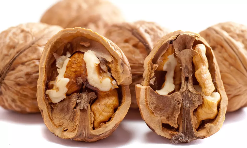 What are the Health Benefits of Walnuts?
