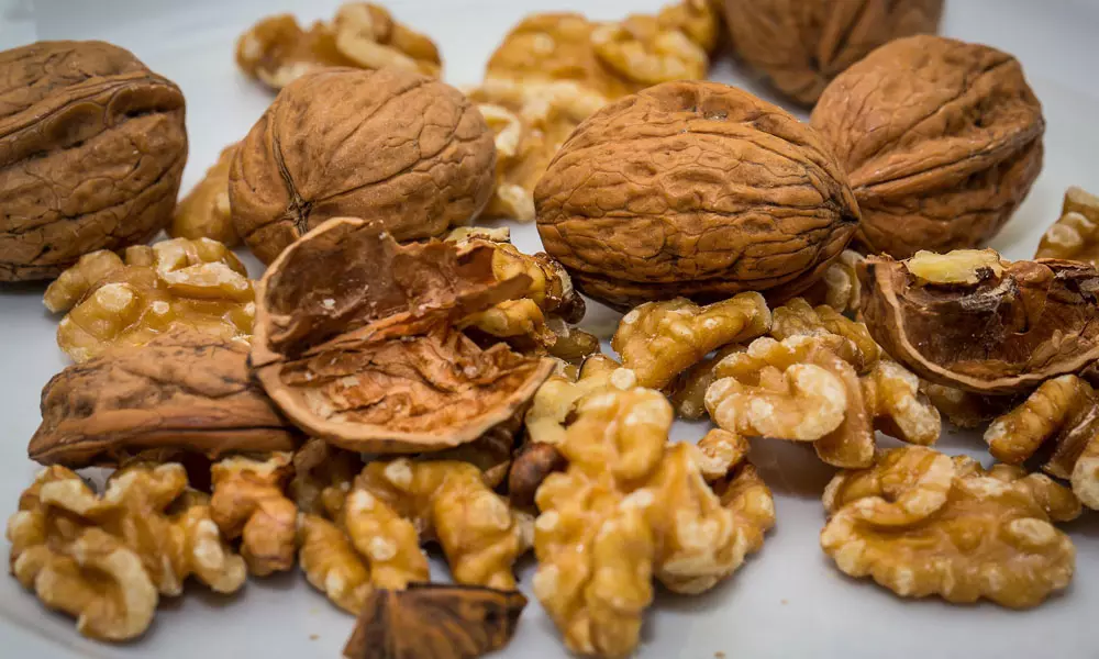 What are Walnuts? How is it Used?