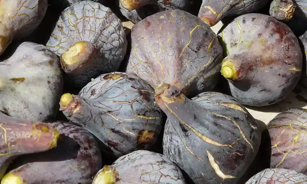 5 Interesting Things you didn’t know About Figs