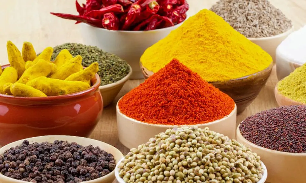 Discovering the Gems- Rare Spices of India