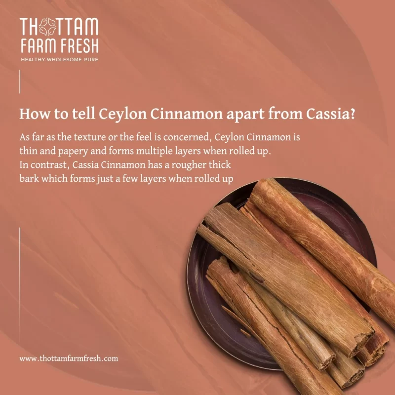 Ceylon_cinnamon