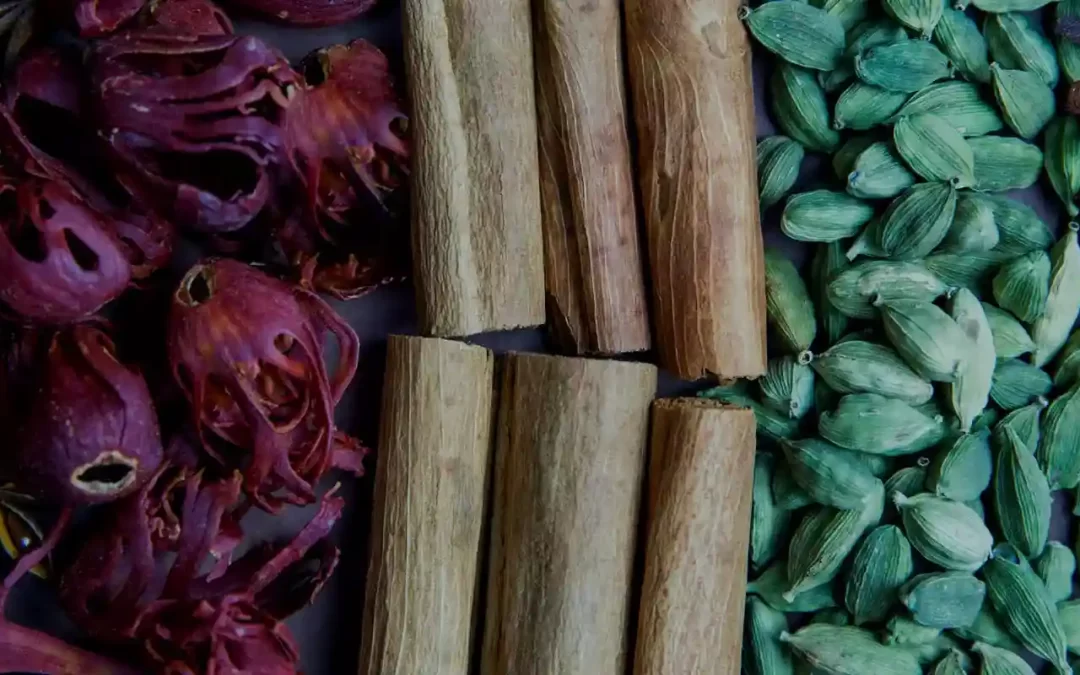 Discovering the Richness of Ceylon Cinnamon: Where to Find It in India