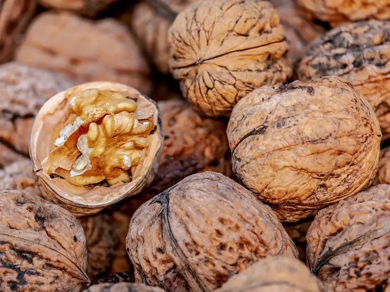 Walnuts