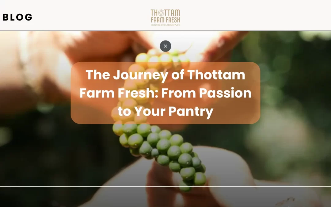 Close-up of a hand holding fresh green peppercorns with sunlight filtering through in the background, symbolizing the farm-to-table journey of Thottam Farm Fresh.