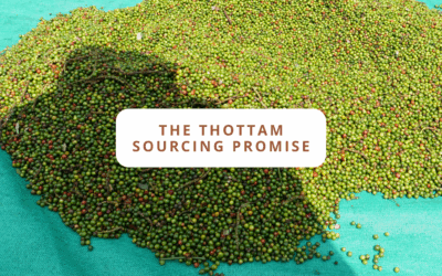 The Thottam Sourcing Promise: How We Go Beyond ‘Organic’ to Bring You Pure Kerala Spices